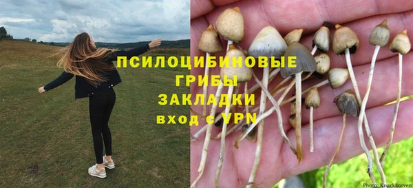 таблы Армянск