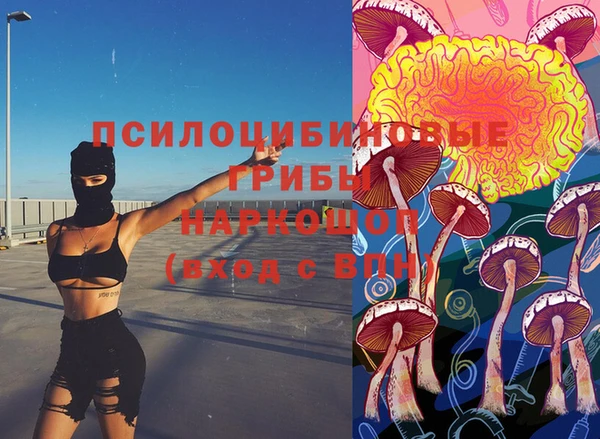 меф Арсеньев