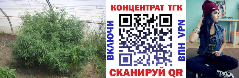 Дистиллят ТГК вейп с тгк ОМГ ОМГ ССЫЛКА Соль-Илецк наркота