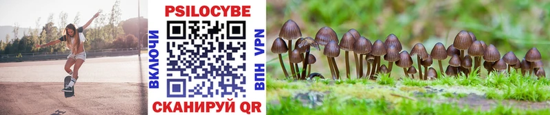наркошоп  Соль-Илецк  Псилоцибиновые грибы Magic Shrooms 